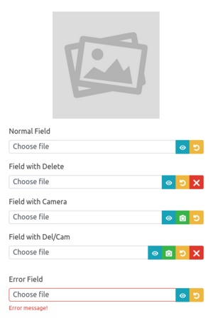 File fields created via 'render_upload'.